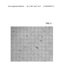 MICRO- AND NANO-PATTERNED SURFACE FEATURES TO REDUCE IMPLANT FOULING AND REGULATE WOUND HEALING diagram and image