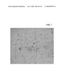 MICRO- AND NANO-PATTERNED SURFACE FEATURES TO REDUCE IMPLANT FOULING AND REGULATE WOUND HEALING diagram and image