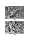 MICRO- AND NANO-PATTERNED SURFACE FEATURES TO REDUCE IMPLANT FOULING AND REGULATE WOUND HEALING diagram and image