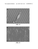 MICRO- AND NANO-PATTERNED SURFACE FEATURES TO REDUCE IMPLANT FOULING AND REGULATE WOUND HEALING diagram and image