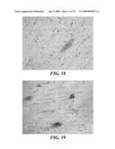 MICRO- AND NANO-PATTERNED SURFACE FEATURES TO REDUCE IMPLANT FOULING AND REGULATE WOUND HEALING diagram and image