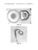 MICRO- AND NANO-PATTERNED SURFACE FEATURES TO REDUCE IMPLANT FOULING AND REGULATE WOUND HEALING diagram and image