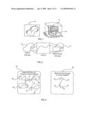 SYSTEMS AND METHODS FOR RIGHTS PROTECTION OF DATASETS WITH DATASET STRUCTURE PRESERVATION diagram and image