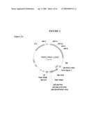 Methods and Compositions For Increasing the Nitrogen Storage Capacity of a Plant diagram and image