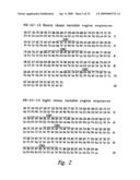 METHODS OF USE OF ANTIBODIES WITH REDUCED IMMUNOGENICITY OR TOXICITY diagram and image