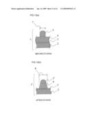 APPARATUS AND METHOD FOR PLASMA ETCHING diagram and image