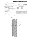 STRIPE-INTERWOVEN CAPILLARY STRUCTURE AND MANUFACTURING METHOD THEREOF diagram and image