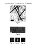 Nanoscale Wire-Based Data Storage diagram and image