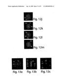 Nanoscale Wire-Based Data Storage diagram and image