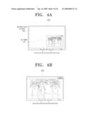 APPARATUS, SYSTEM, AND METHOD FOR DISPLAYING diagram and image