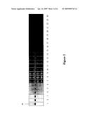 APPROACH TO ADJUST DRIVING WAVEFORMS FOR A DISPLAY DEVICE diagram and image