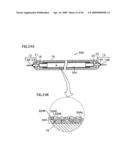 FLUORESCENT LAMP, BACKLIGHT UNIT AND LIQUID CRYSTAL DISPLAY diagram and image