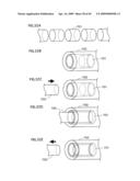 FLUORESCENT LAMP, BACKLIGHT UNIT AND LIQUID CRYSTAL DISPLAY diagram and image