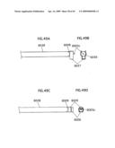 FLUORESCENT LAMP, BACKLIGHT UNIT AND LIQUID CRYSTAL DISPLAY diagram and image