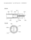 FLUORESCENT LAMP, BACKLIGHT UNIT AND LIQUID CRYSTAL DISPLAY diagram and image