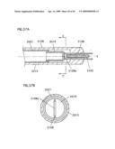 FLUORESCENT LAMP, BACKLIGHT UNIT AND LIQUID CRYSTAL DISPLAY diagram and image