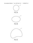 System and Method For The Analysis of Basic Ear Canal Taxonomy diagram and image