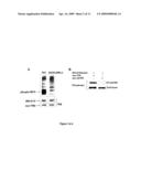 PHARMACEUTICAL COMPOSITIONS FOR TREATING DISEASES ASSOCIATED WITH NF-kB ACTIVITY diagram and image