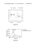 ANTIDOTES FOR FACTOR XA INHIBITORS AND METHODS OF USING THE SAME diagram and image