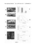 PTHrP, its isoforms and antagonist thereto in the diagnosis and treatment of disease diagram and image