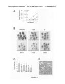 PTHrP, its isoforms and antagonist thereto in the diagnosis and treatment of disease diagram and image