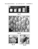 MICROSPHERE-BASED MATERIALS WITH PREDEFINED 3D SPATIAL AND TEMPORAL CONTROL OF BIOMATERIALS, POROSITY AND/OR BIOACTIVE SIGNALS diagram and image