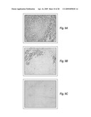 MICROSPHERE-BASED MATERIALS WITH PREDEFINED 3D SPATIAL AND TEMPORAL CONTROL OF BIOMATERIALS, POROSITY AND/OR BIOACTIVE SIGNALS diagram and image