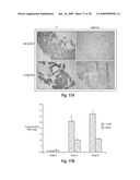 MICROSPHERE-BASED MATERIALS WITH PREDEFINED 3D SPATIAL AND TEMPORAL CONTROL OF BIOMATERIALS, POROSITY AND/OR BIOACTIVE SIGNALS diagram and image