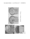 System for gluten replacement in food products diagram and image