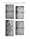 System for gluten replacement in food products diagram and image