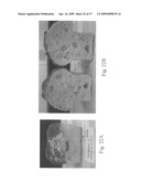 System for gluten replacement in food products diagram and image