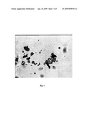 POWDER COATING COMPOSITIONS, METHODS FOR THEIR PREPARATION AND RELATED COATED SUBSTRATES diagram and image