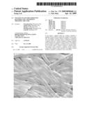 NEGATIVE PLATE FOR LITHIUM ION BATTERIES AND A METHOD OF PREPARING THE SAME diagram and image