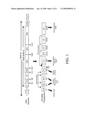 Probes and Methods for Hepatitis C Virus Typing Using Single Probe Analysis diagram and image