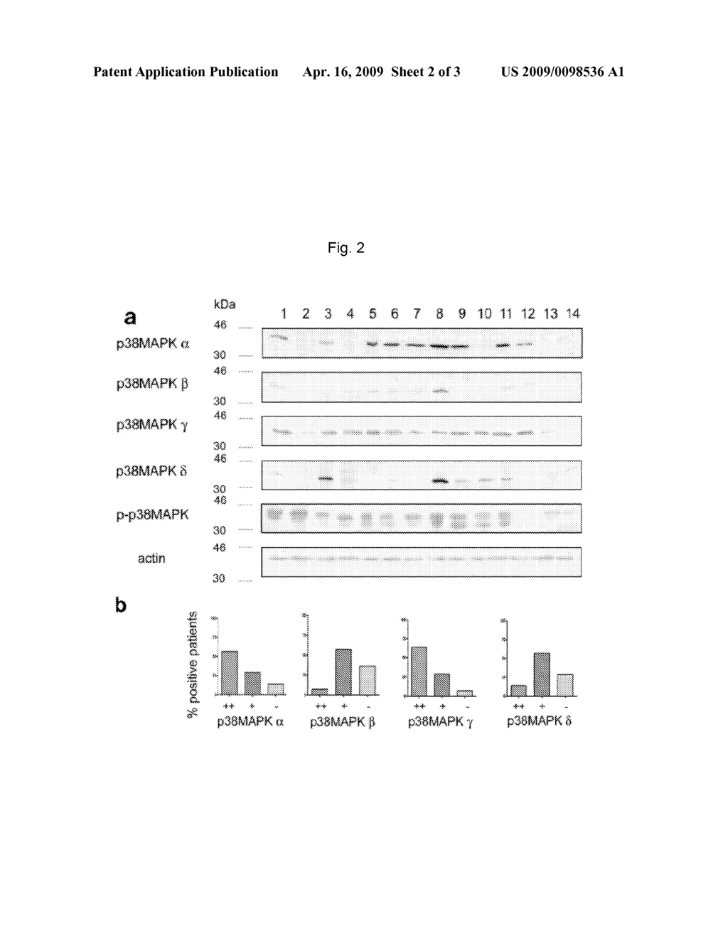 Method for subgroup analysis in subjects having or being suspected of having inflammatory disease, use of anti-p38MAPK antibodies, kits and their use - diagram, schematic, and image 03