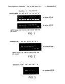 Methods and Kits for Detecting an Enzyme Capable of Modifying a Nucleic Acid diagram and image