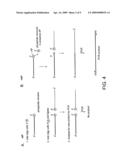 Methods and Kits for Detecting an Enzyme Capable of Modifying a Nucleic Acid diagram and image