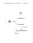 Methods and Kits for Detecting an Enzyme Capable of Modifying a Nucleic Acid diagram and image