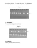 MARKER MOLECULES ASSOCIATED WITH LUNG TUMORS diagram and image