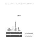 MARKER MOLECULES ASSOCIATED WITH LUNG TUMORS diagram and image