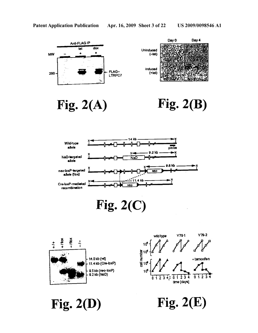 Methods of Screening for LTRPC7 Modulators - diagram, schematic, and image 04