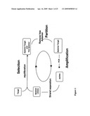 SELEX AND PHOTOSELEX diagram and image