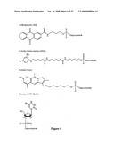 SELEX AND PHOTOSELEX diagram and image