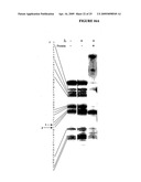 SELEX AND PHOTOSELEX diagram and image