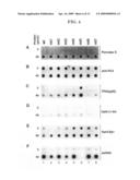 Method and composition for cancer diagnosis and treatment diagram and image