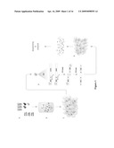 METHODS AND APPLICATIONS FOR STITCHED DNA BARCODES diagram and image