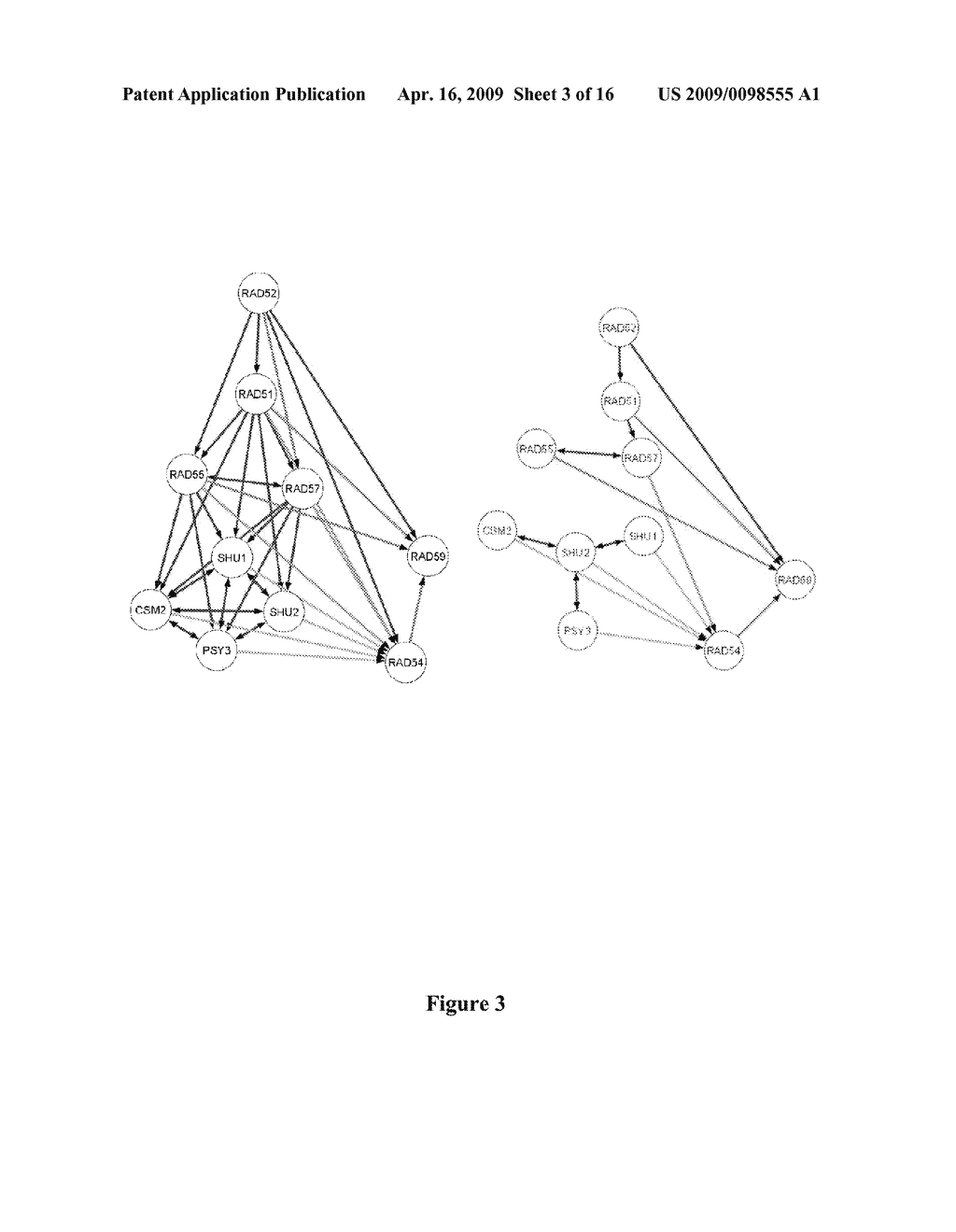 METHODS AND APPLICATIONS FOR STITCHED DNA BARCODES - diagram, schematic, and image 04