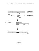 METHODS AND APPLICATIONS FOR STITCHED DNA BARCODES diagram and image