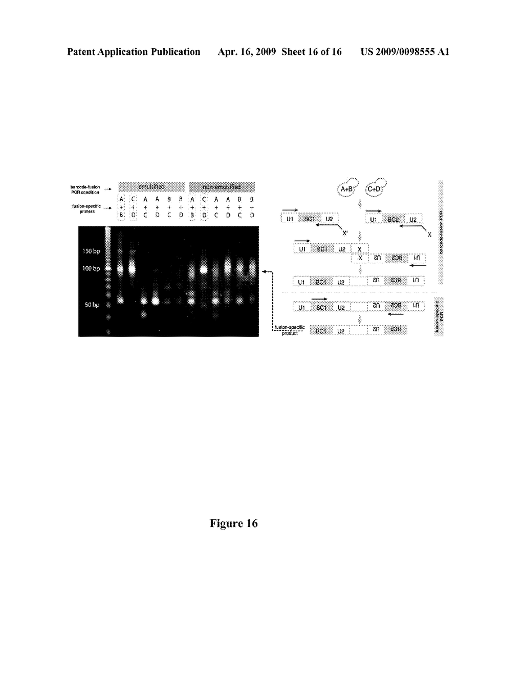 METHODS AND APPLICATIONS FOR STITCHED DNA BARCODES - diagram, schematic, and image 17