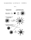 FUNCTIONALIZATION OF GOLD NANOPARTICLES WITH ORIENTED PROTEINS, APPLICATION TO THE HIGH-DENSITY LABELLING OF CELL MEMBRANES diagram and image